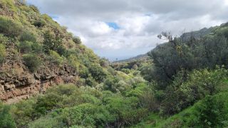 2024-01-GranCan-Barranco_de_los_Cernicalos-023.jpg